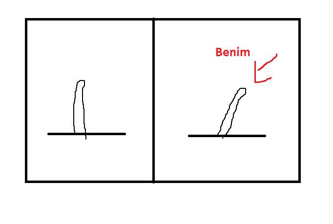 Benim penisim eğri mi bana mı öyle geliyor fotoğrafa bakıp düşüncenizi yazar mısınız?