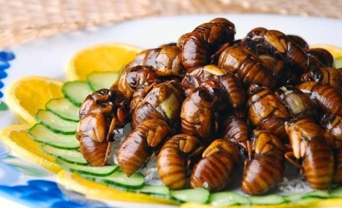 Akşama ne yemek yapsam acaba 🤔?