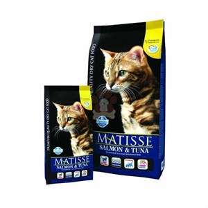 Kediler için yaş mama önerisi verir misiniz?
