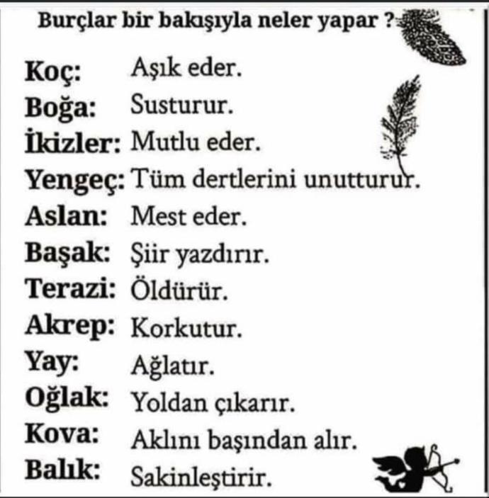 Burçlar bir bakışıyla neler yapar? Senin burcun hangisi?