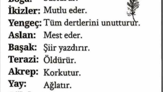 Burçlar bir bakışıyla neler yapar? Senin burcun hangisi?