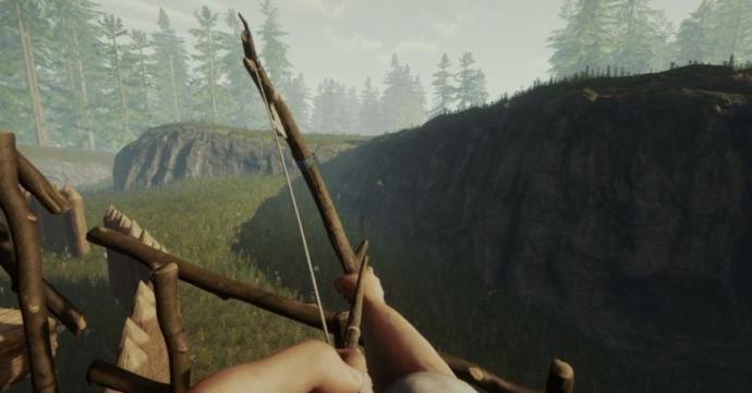 The Forest
