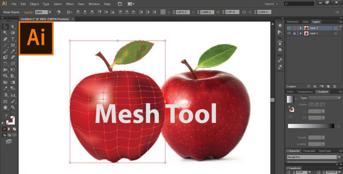 Mesh Tool ile vektör çizim olur mu?