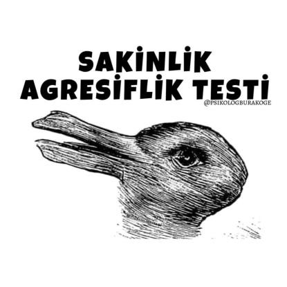 SEN BU RESİMDE NE GÖRÜYORSUN?