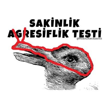 SEN BU RESİMDE NE GÖRÜYORSUN?