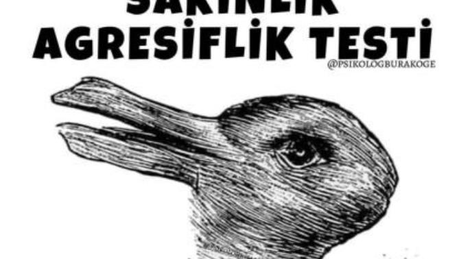 SEN BU RESİMDE NE GÖRÜYORSUN?