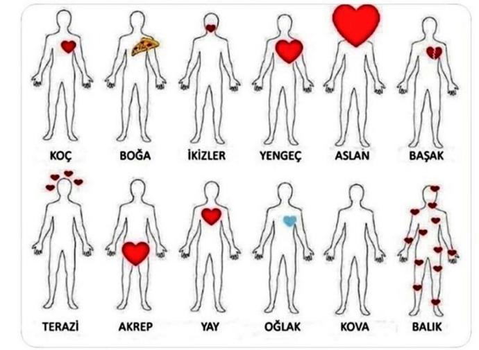 Aşağıdaki burç görseline göre, senin kalbin nerede?