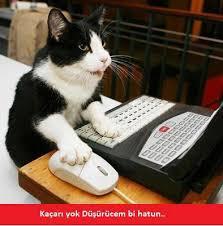 Karanlığı çok seviyorum? loş ışığa bayyılıyorum? aydınlık nedense hiç sevmiyorum normal mı?