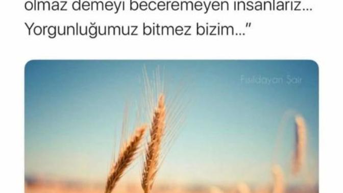 Çalışkan mısın? Tembel misin?