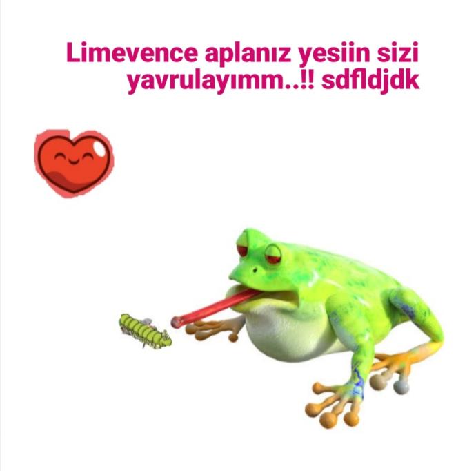 Bu terslikte bi' iş var mı?