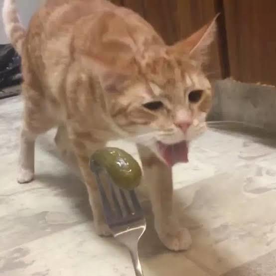 Böyleyim