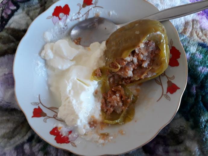 Dolma sever misiniz 😋😋😋😋😋?