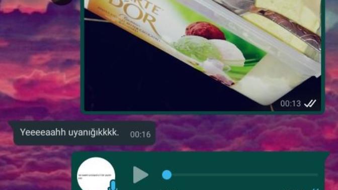 Herhangi bir şeye alerjiniz var mı?
