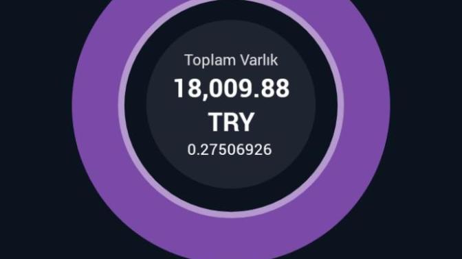 Sanal para alan  var mı 15 bin yatırdım 1 günde bu kadar kar ettim?