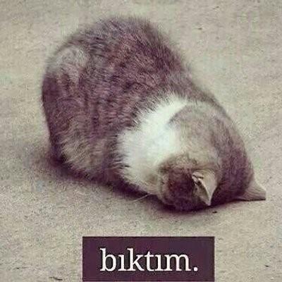 Moodluk fotoğraf atar mısınız?