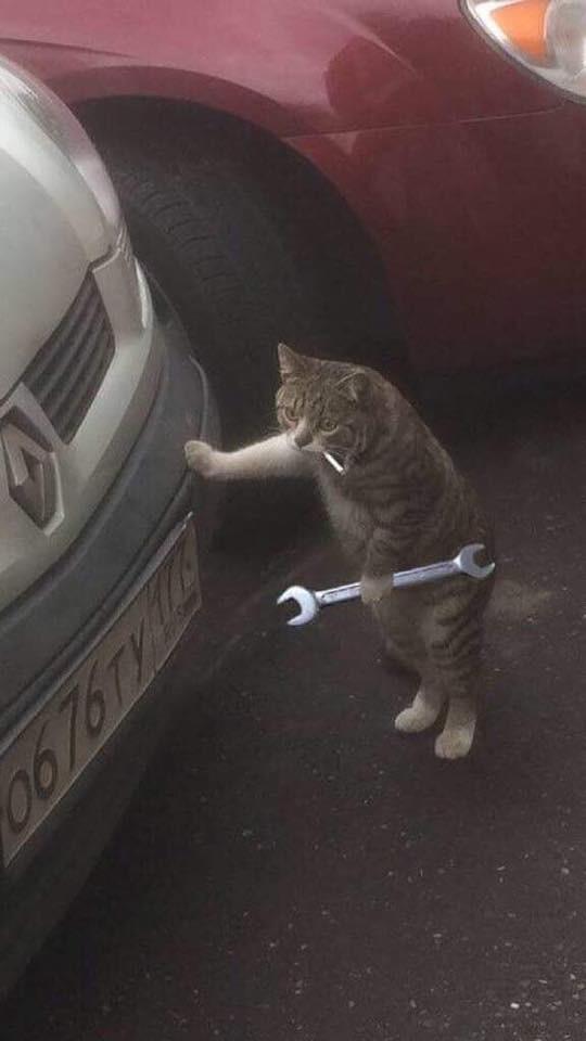Moodluk fotoğraf atar mısınız?