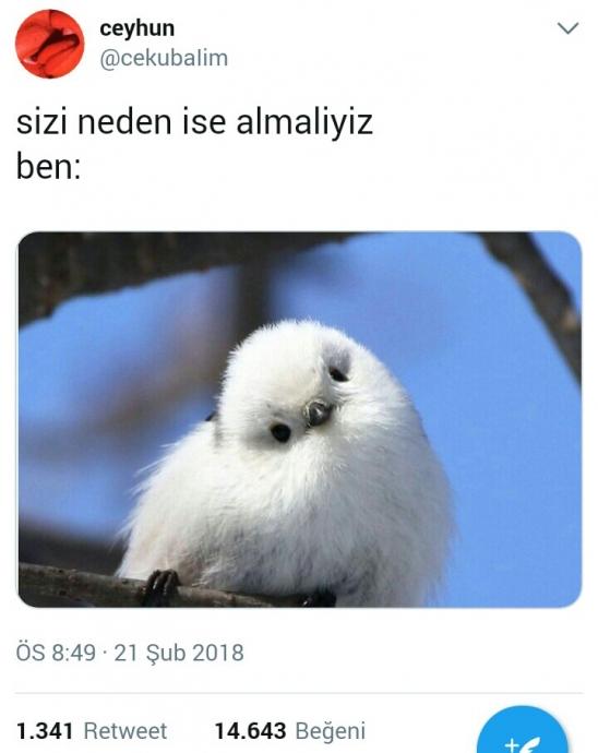 .