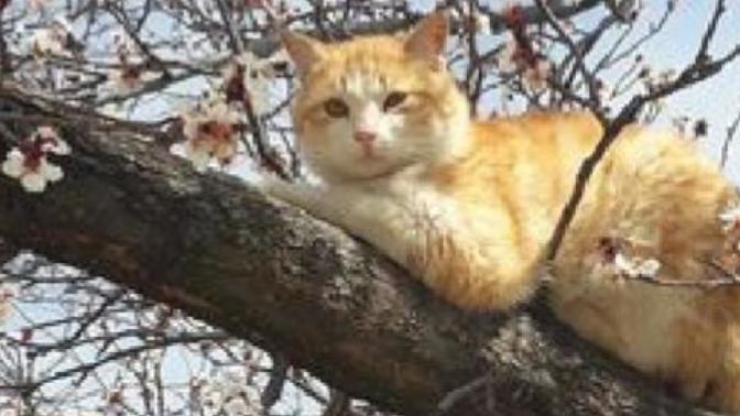 İnsanlar neden nankör?