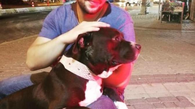 Hangi hayvanı besliyorsun veya beslemek isterdin?