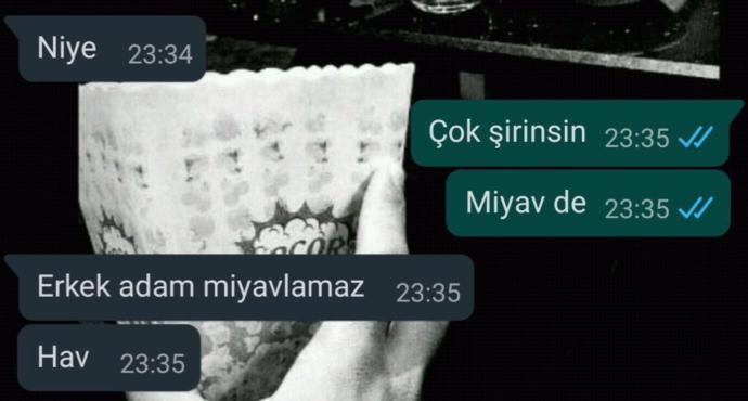 Erkek adam miyavlar mı?