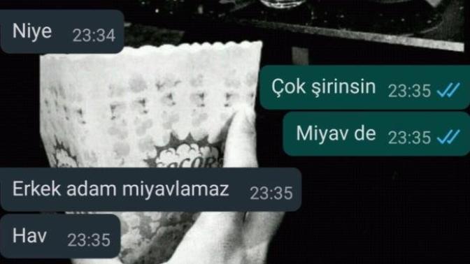 Erkek adam miyavlar mı?