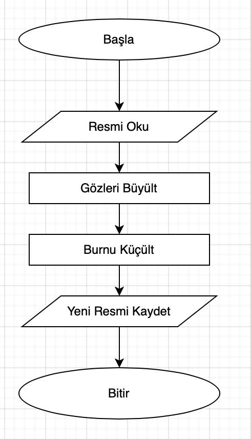 Instagram filitremizin Akış Diyagramı