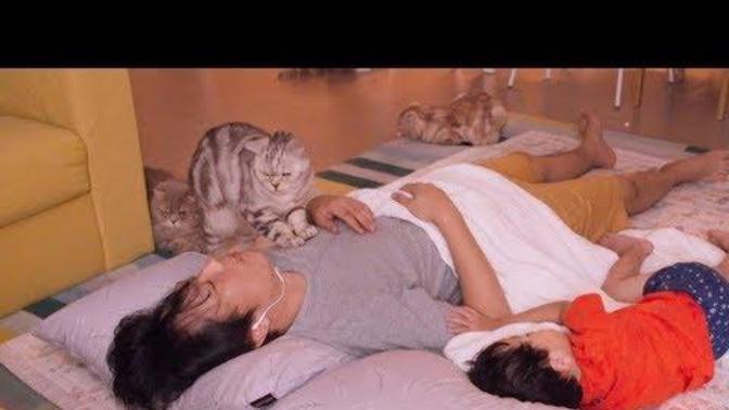 Japonlar neden yere döşek serip yatıyor neden bir baza ve üstüne yatak tercih etmiyorlar?