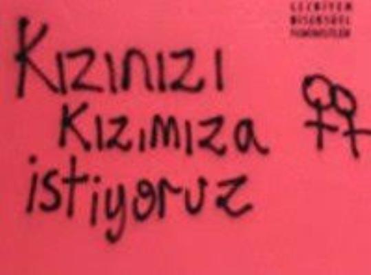 Lezbiyenliği cinsel obje olarak gören erkekler hakkında düşünceniz ne?