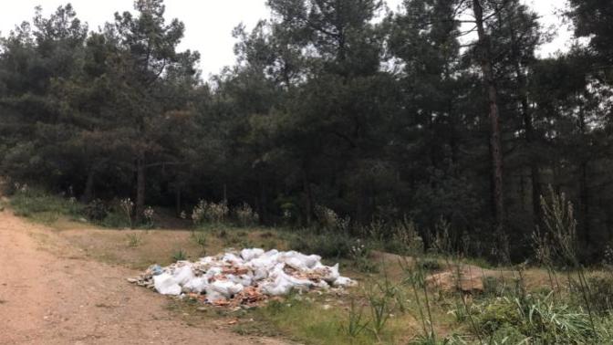 İnsanlar neden doğaya zarar verir?