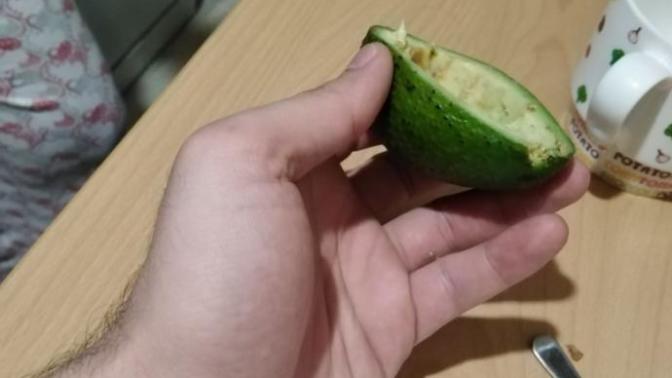 Bu avokado denen dalgayı gerçekten seven var mı ya?