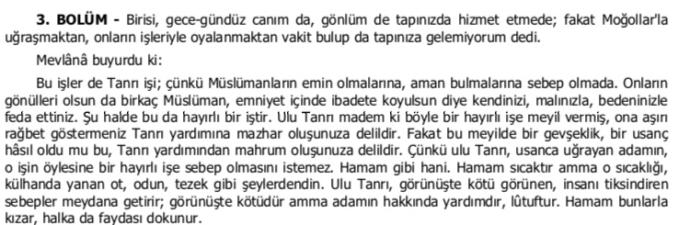 Mevlana ve Şems Türk düşmanı, Moğol yanlısı mıydı?