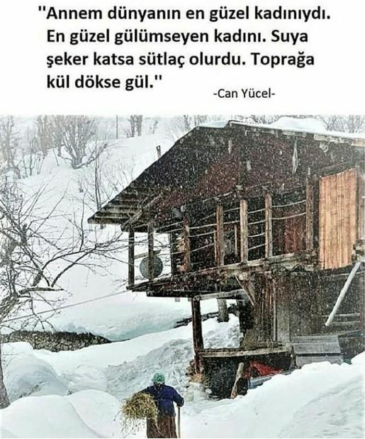 Sizin için anne ne demek?