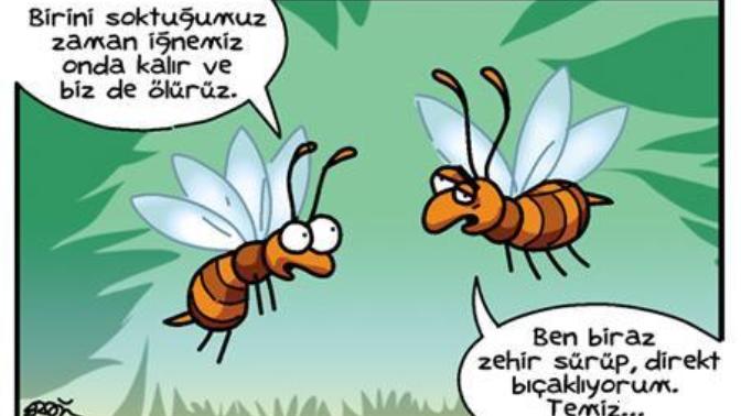 Hayvanlar konuşabilseydi, hangi hayvan en sinir bozucu olurdu?