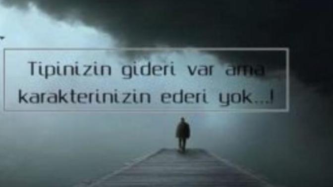 Güzellik/yakışıklılık mı yoksa zeka/ karakter mi ikisinden birini seçme şansınız olsa hangisini seçerdiniz?