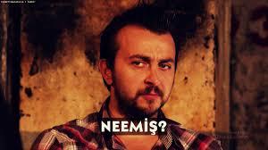 Melisa çayı ne işe yarar?