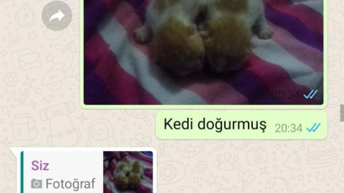 Karşı cinse nasıl iltifatlar edersiniz?