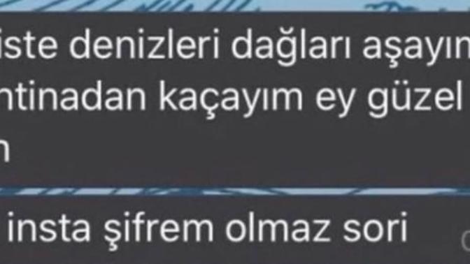 Sevgiliye sosyal medya şifresi vermek abartı mı?