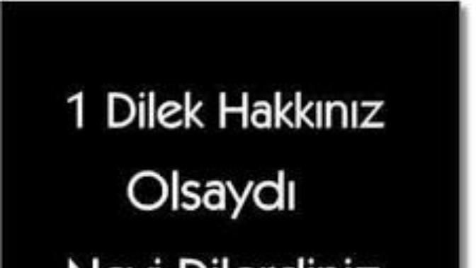 Bir dilek hakkınız olsa ne dilerdiniz?