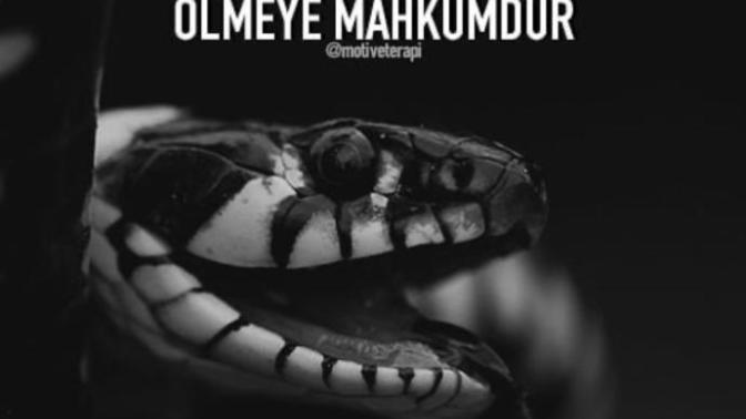 Sizce de öyle değil mi?