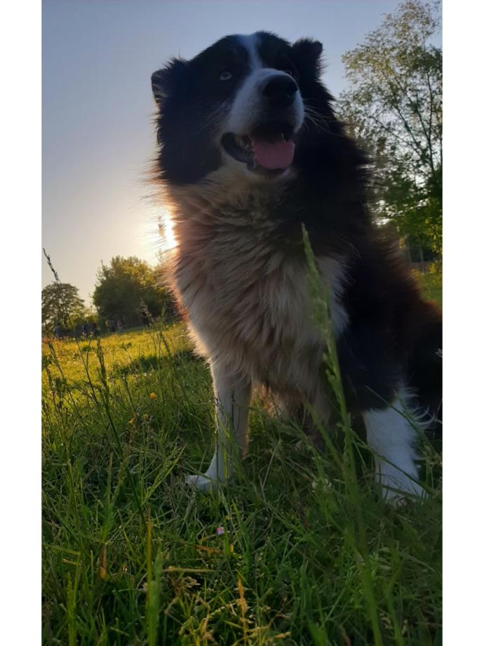 Kalbim🎈