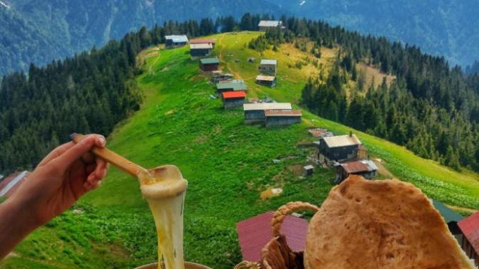Tatil için Karadeniz yaylaları mı yoksa Akdeniz kumsalları mı tercih edilmeli, neden?