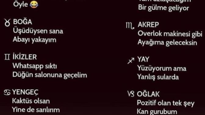 Burçların bir çift sözü var bakmaya nedersiniz?