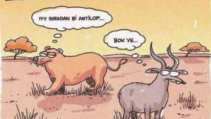 Belgesel izler misiniz, en sevdiğiniz belgesel türleri nelerdir?