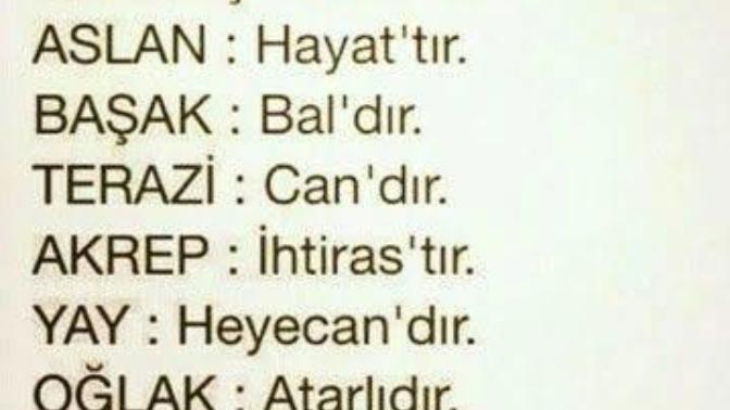 Siz hangisisiniz?