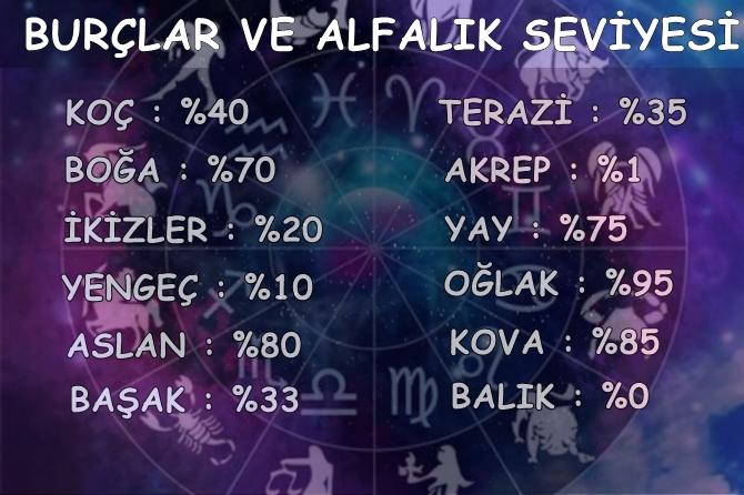 Sizin burcunuz ne kadar Alfa ?
