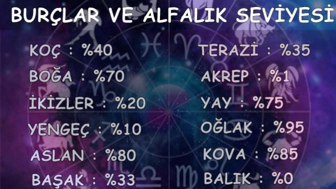 Sizin burcunuz ne kadar 'Alfa' ?