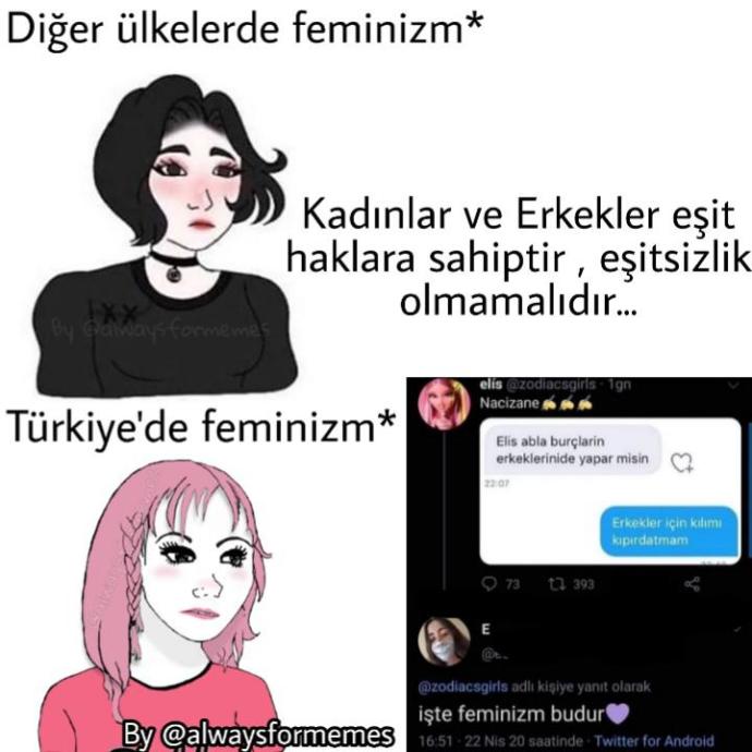 Feminizm ve feministler hakkında ne düşünüyorsunuz?