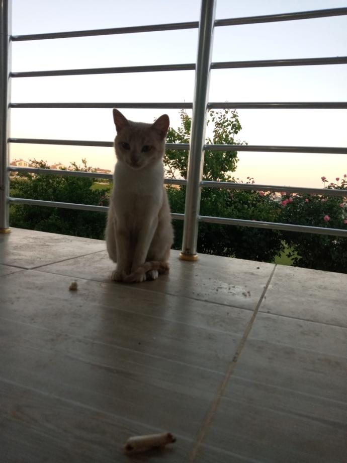 Su an nerdesiniz ne yapıyorsunuz?