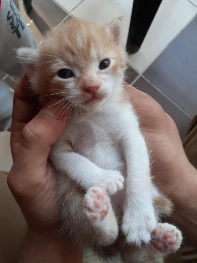 Mutluluğun resmi sizce nedir?