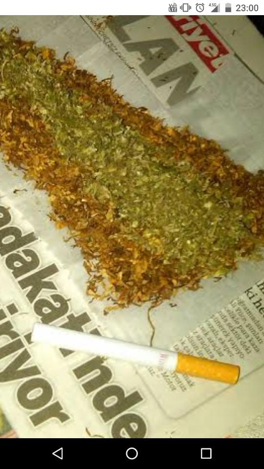 Sarma saran kızlar için sigara saran kızları üzdünüz neden beyler?
